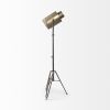 61" Antiqued Gold LED Movie Set Floor Lamp With Gold Metal Shade