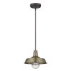 Brushed Gold Shallow Plate Adjustable Pendant Light