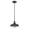 Antique Bronze Shallow Plate Adjustable Pendant Light