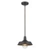 Antique Bronze Shallow Plate Adjustable Pendant Light