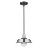 Silver Shallow Plate Adjustable Pendant Light