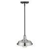 Silver Shallow Plate Adjustable Pendant Light