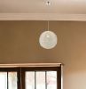 Luminary 1-Light Metallic Silver Pendant With Hand Woven Aluminum Wire Shade (12")