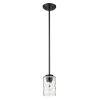 Black Metal and Glass Mini Pendant Hanging Light