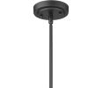 Matte Black Hanging Light with Dome Shade