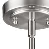 Silver Frosted Glass Hanging Light