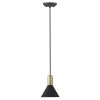 Matte Black and Gold Conical Pendant Hanging Light