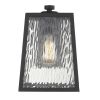 Hirche 1-Light Matte Black Wall Light