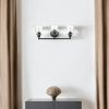 Three Light Matte Black Glass Shade Wall Sconce