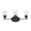 Three Light Bronze Wall Light with Clear Glass Shade