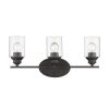 Three Light Bronze Wall Light with Clear Glass Shade