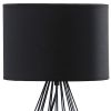 18â€ Asymmetric Black Cage Metal Table Lamp