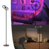 69" Color Changing LED Rotating Head Floor Lamp