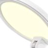 22" White Metal And Plastic Adjustable Portable Desk Lamp LED With Phone Clamp