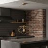 Antiqued Brass And Black Caged Iron Ceiling Light With Shades