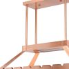 Copper Kitchen Island Two Light Iron LED Edison Bulb Flush Ceiling Light